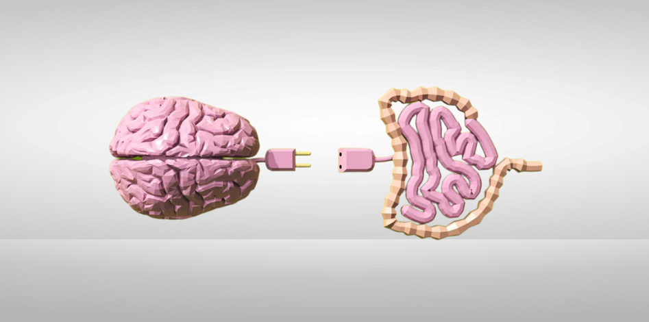 LA MICROBIOTA EN RELACIÓN A NUESTRA SALUD MENTAL; UN ENFOQUE DE ATENCIÓN INTEGRAL